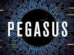 Pegasus libro